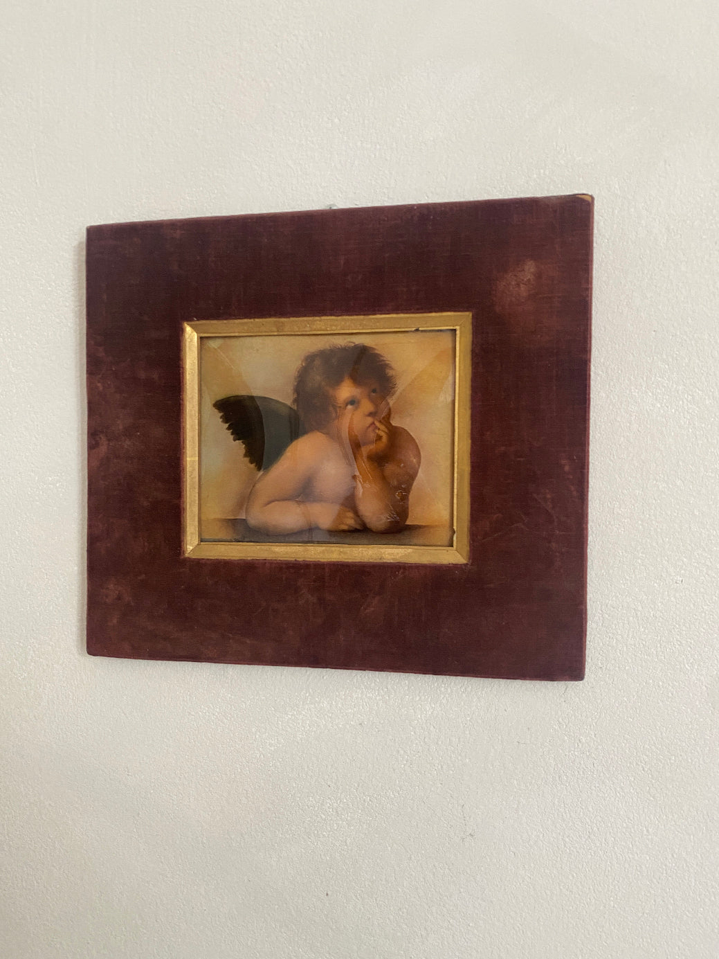 a winged cherub in a dark brown velvet and gilt frame