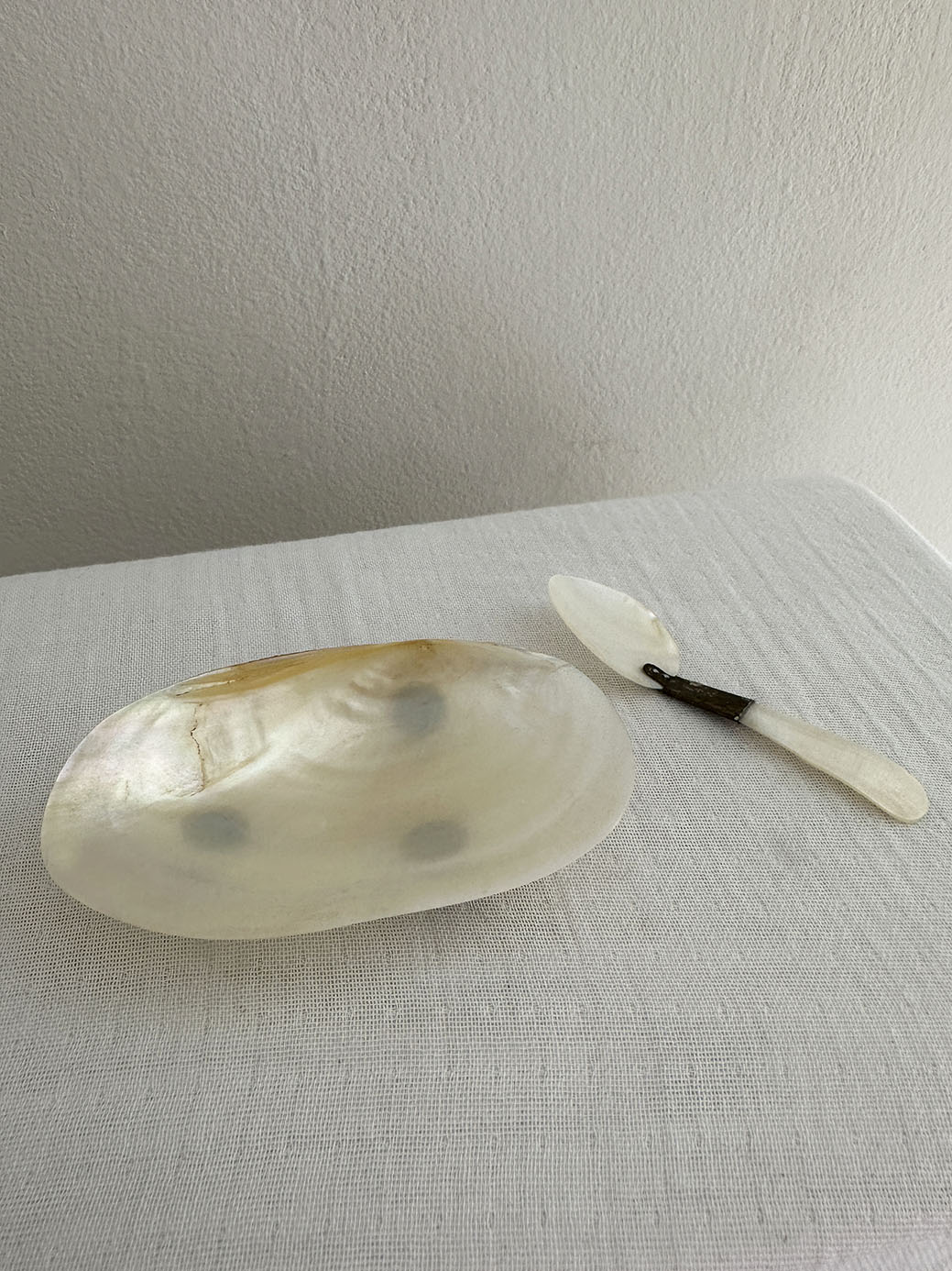 an antique osyter shell caviar dish with a mother of pearl finish and matching spoon