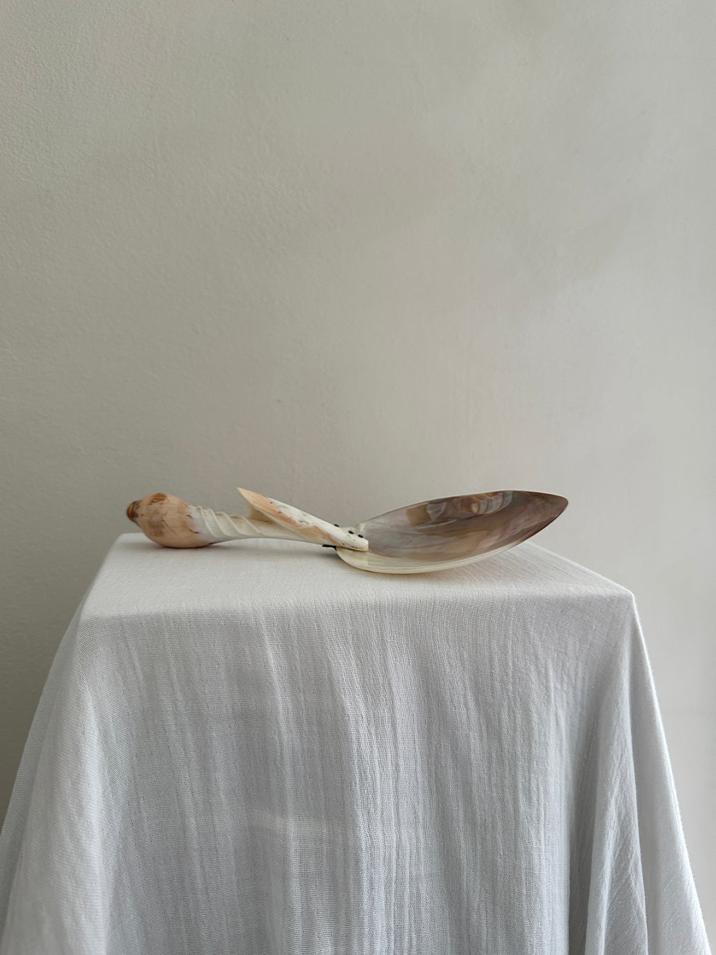 A hand-crafted mother-of-pearl serving spoon with a polished conch handle. 