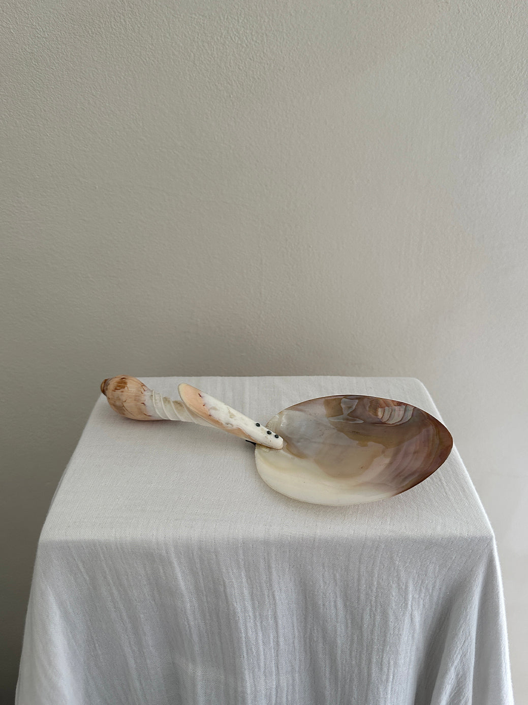 A hand-crafted mother-of-pearl serving spoon with a polished conch handle. 