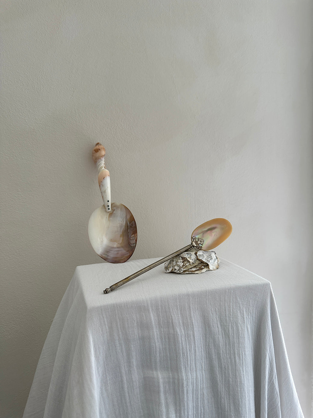 A hand-crafted mother-of-pearl serving spoon with a polished conch handle. 