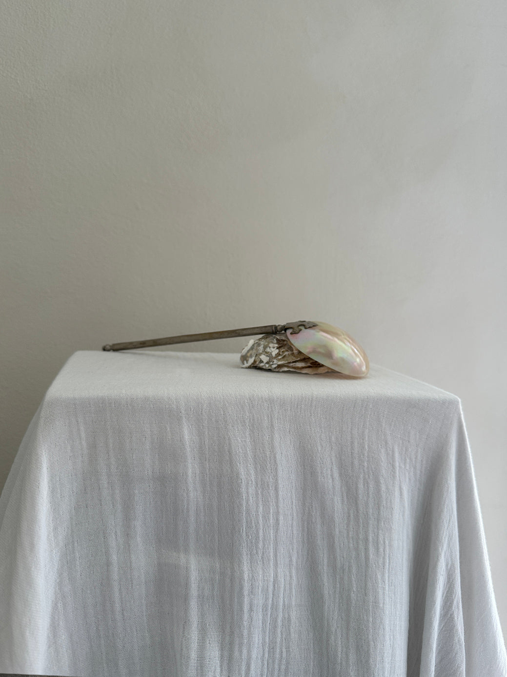 a beautiful silver-plated mother-of-pearl spoon