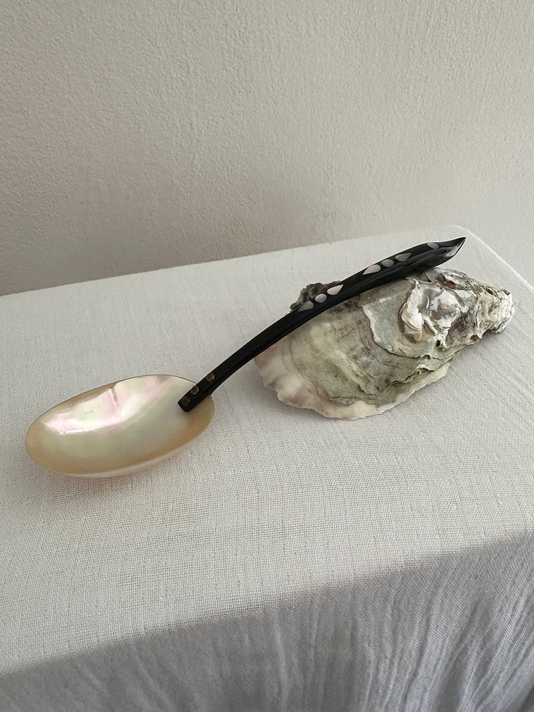 an antique mother of pearl spoon with a hand-carved ebony wood handle