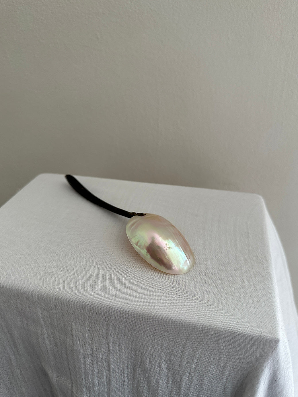 an antique mother of pearl spoon with a hand-carved ebony wood handle