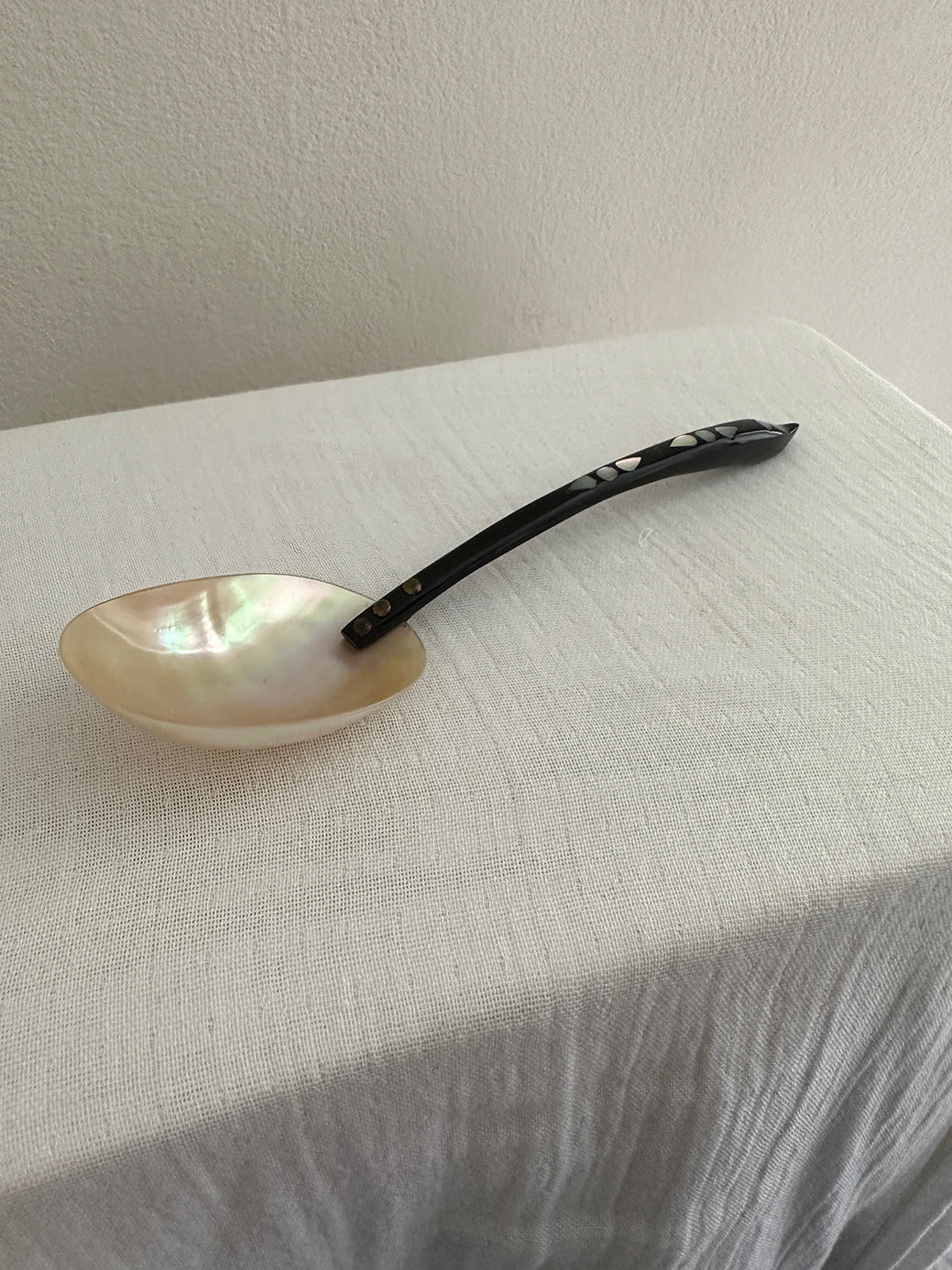 an antique mother of pearl spoon with a hand-carved ebony wood handle